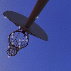 Meet your Posher, Oscar